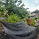 Bhabinkamtibmas Gelogor Dorong Warga Tanam Pangan di Halaman Rumah