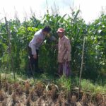 Bhabinkamtibmas Sosialisasi Pemanfaatan Lahan Kosong untuk Pangan