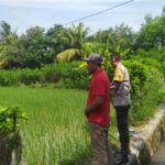 Bhabinkamtibmas Sekotong Dukung Swasembada Pangan di Batu Putih