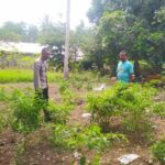 Dukung Ketahanan Pangan, Polisi Edukasi Warga Sekotong Tanam Cabai