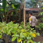 Ketahanan Pangan Dimulai dari Dusun Pesongoran, Lombok Barat