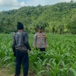 Kunjungan DDS: Ketahanan Pangan dan Kamtibmas Jadi Fokus Polisi Sekotong