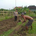 Lahan Pekarangan di Jagaraga Jadi Solusi Ketahanan Pangan