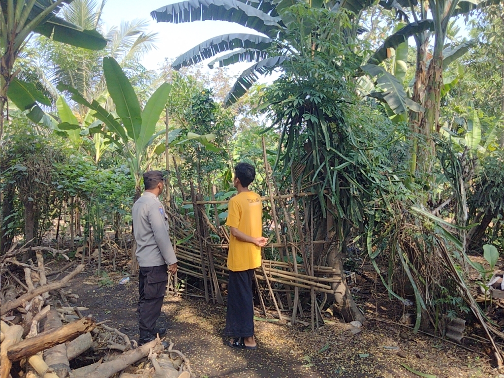 Pekarangan Bergizi Jadi Solusi Ketahanan Pangan di Desa Montong Are