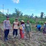 Peran Polri Dalam Swasembada Pangan di Sekotong, NTB