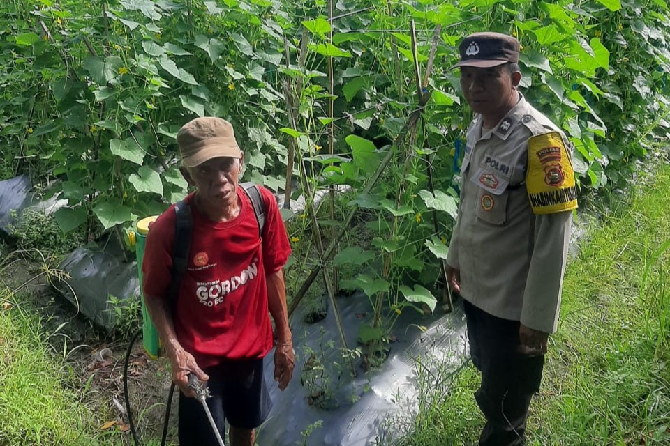 Peran Polri di Montong Are dalam Ketahanan Pangan Nasional