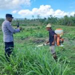 Polri Dorong Pertanian Produktif di Desa Pelangan, Sekotong