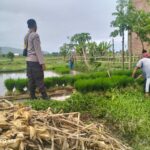 Polri Pantau Langsung Tanam Padi di Desa Lelede, Lombok Barat
