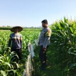 Polri dan Petani Bersinergi Wujudkan Ketahanan Pangan di Lembar, Lombok Barat