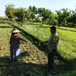 Polri di Lombok Barat Galakkan Ketahanan Pangan Skala Rumah Tangga