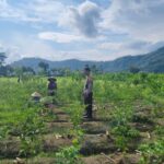 Sinergi Polisi dan Petani Dorong Ketahanan Pangan di Jembatan Kembar Timur