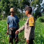 Sinergi Polri dan Petani Gerung dalam Wujudkan Ketahanan Pangan