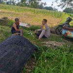 Polres Lombok Barat Dukung Petani Wujudkan Ketahanan Pangan di Lembar