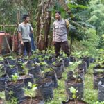 Sinergi Polri dan Warga Batulayar untuk Pekarangan Bergizi