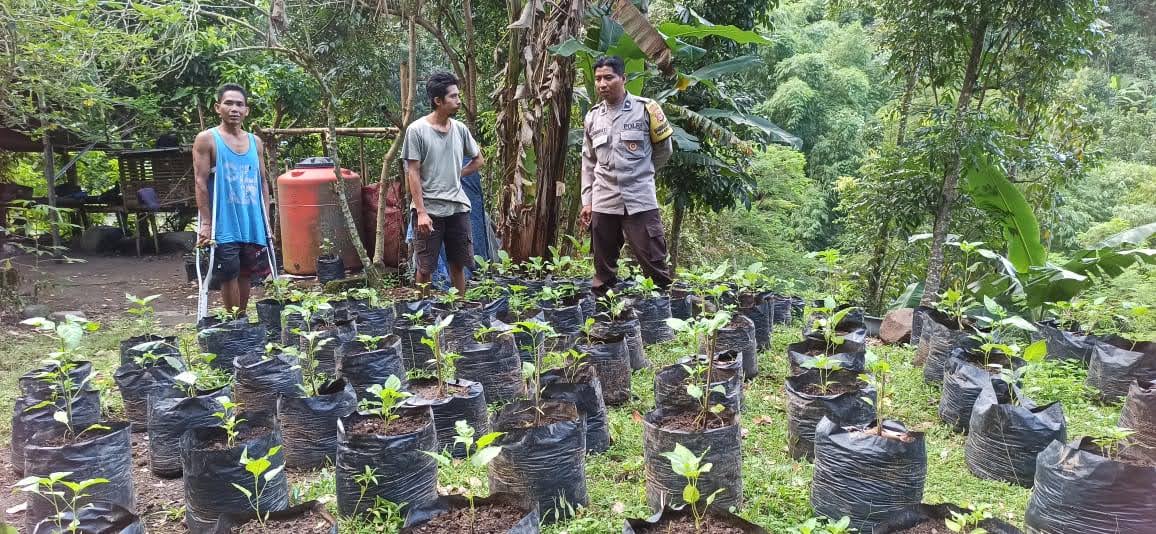 Sinergi Polri dan Warga Batulayar untuk Pekarangan Bergizi