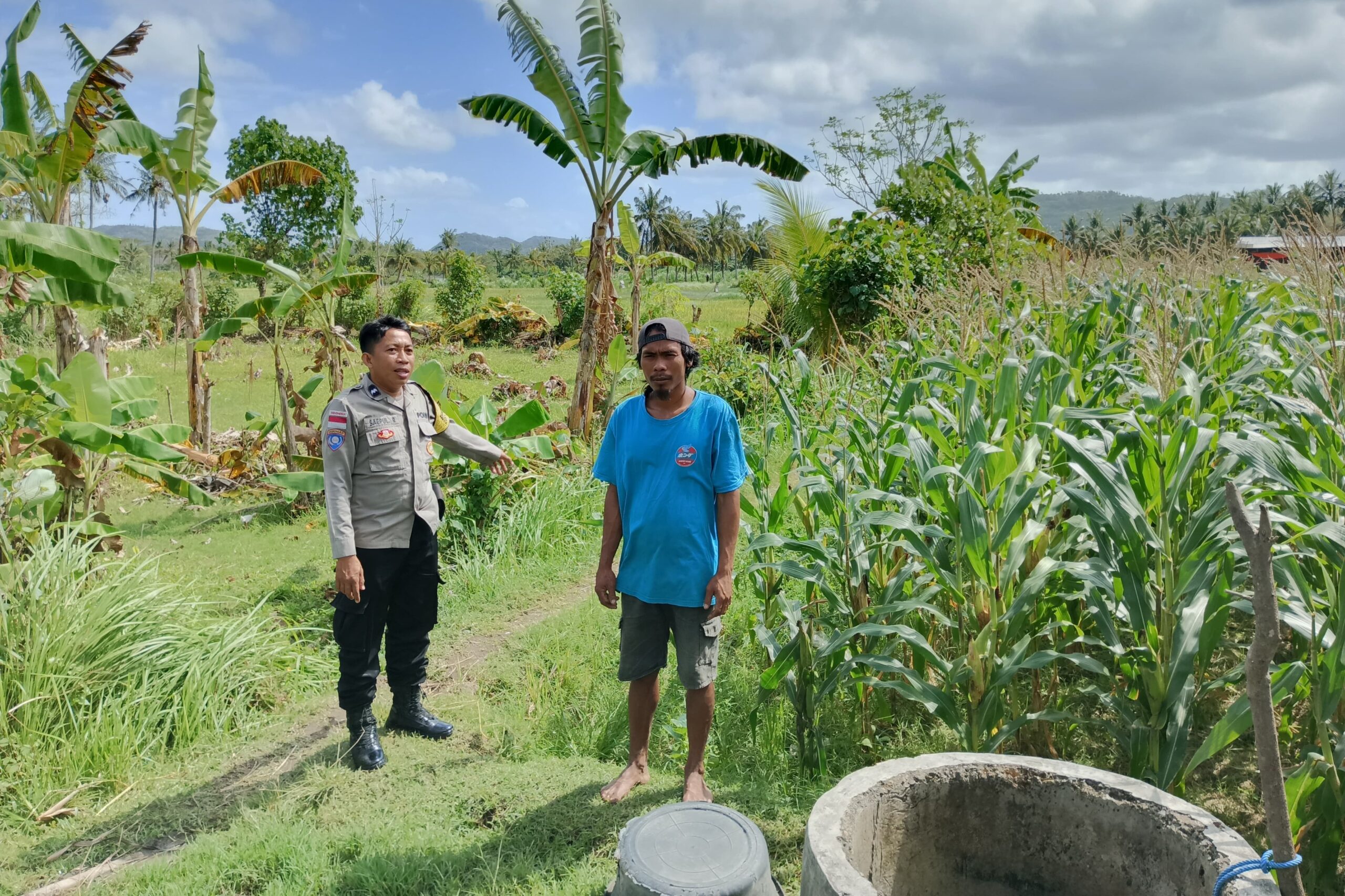 Perkuat Ketahanan Pangan, Polisi Bina Petani Jagung di Sekotong