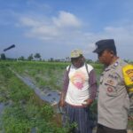 Bhabinkamtibmas Montong Are Dorong Swasembada Pangan di Kediri Lombok Barat