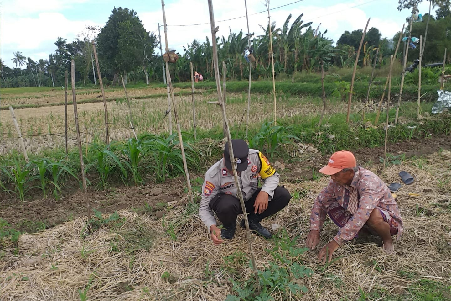 Ketahanan Pangan Dimulai dari Desa Bhabinkamtibmas Jagaraga Dorong Pemanfaatan Lahan Pekarangan