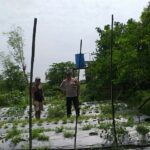 Ketahanan Pangan Dimulai dari Rumah, Inisiatif Bhabinkamtibmas di Desa Jagaraga