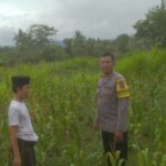 Ketahanan Pangan dan Keamanan Diperkuat di Sekotong Tengah Lewat DDS Bhabinkamtibmas