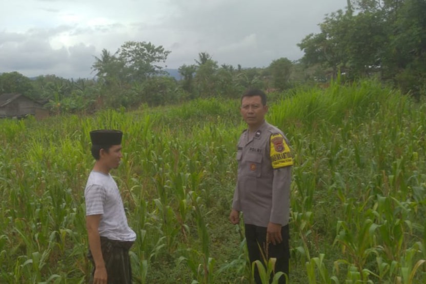 Ketahanan Pangan dan Keamanan Diperkuat di Sekotong Tengah Lewat DDS Bhabinkamtibmas