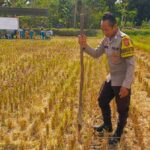 Kunjungan Bhabinkamtibmas Kuripan Utara, Ajak Petani Dukung Ketahanan Pangan Nasional