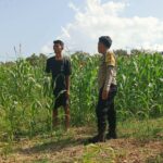 Polisi Desa Cendi Manik Dorong Ketahanan Pangan Lewat Pendampingan Petani Sekotong