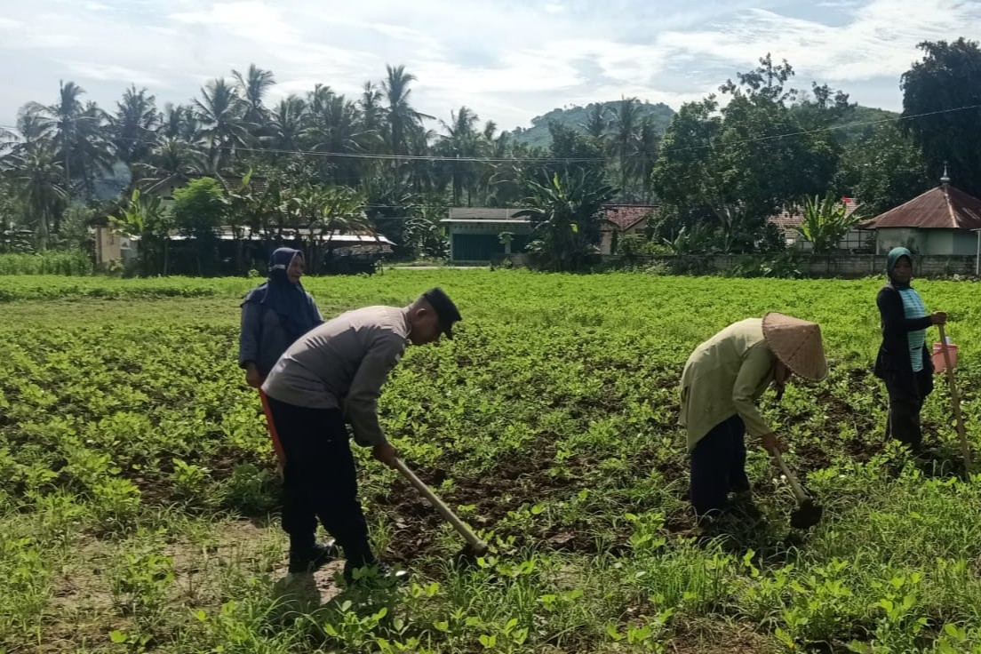 Sinergi Polisi-Warga Kuripan, Ketahanan Pangan Dimulai dari Pekarangan