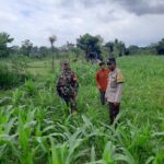 Polri Gencarkan Ketahanan Pangan di Lombok Barat, Bhabinkamtibmas Ajak Warga Sukseskan Swasembada