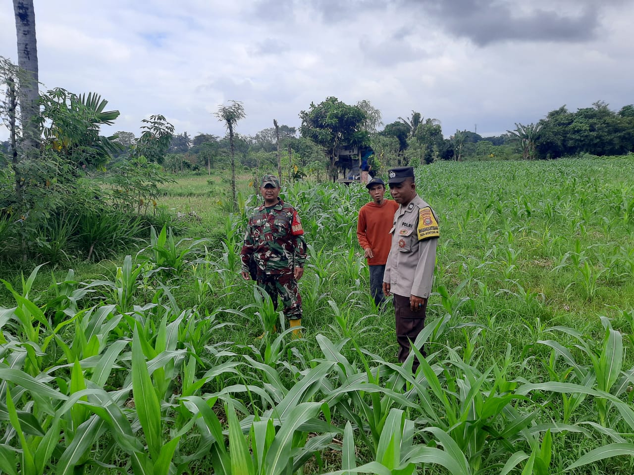 Polri Gencarkan Ketahanan Pangan di Lombok Barat, Bhabinkamtibmas Ajak Warga Sukseskan Swasembada