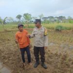 Polsek Kediri Aktif Pantau Ketahanan Pangan dan Lingkungan di Tengah Cuaca Ekstrem