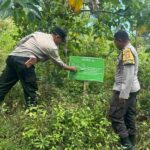 Hutan Lendang Damai Disiapkan untuk Pertanian Polikultur di Lombok Barat