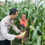 Pekarangan Produktif, Desa Aman: Inisiatif Ketahanan Pangan Bhabinkamtibmas Labuapi