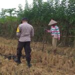 Sinergi Polri dan Warga Jagaraga Kembangkan Ketahanan Pangan Keluarga