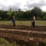 Bhabinkamtibmas Kediri Dorong Ketahanan Pangan di Plowok Selatan