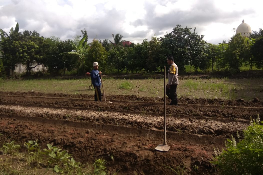Bhabinkamtibmas Kediri Dorong Ketahanan Pangan di Plowok Selatan