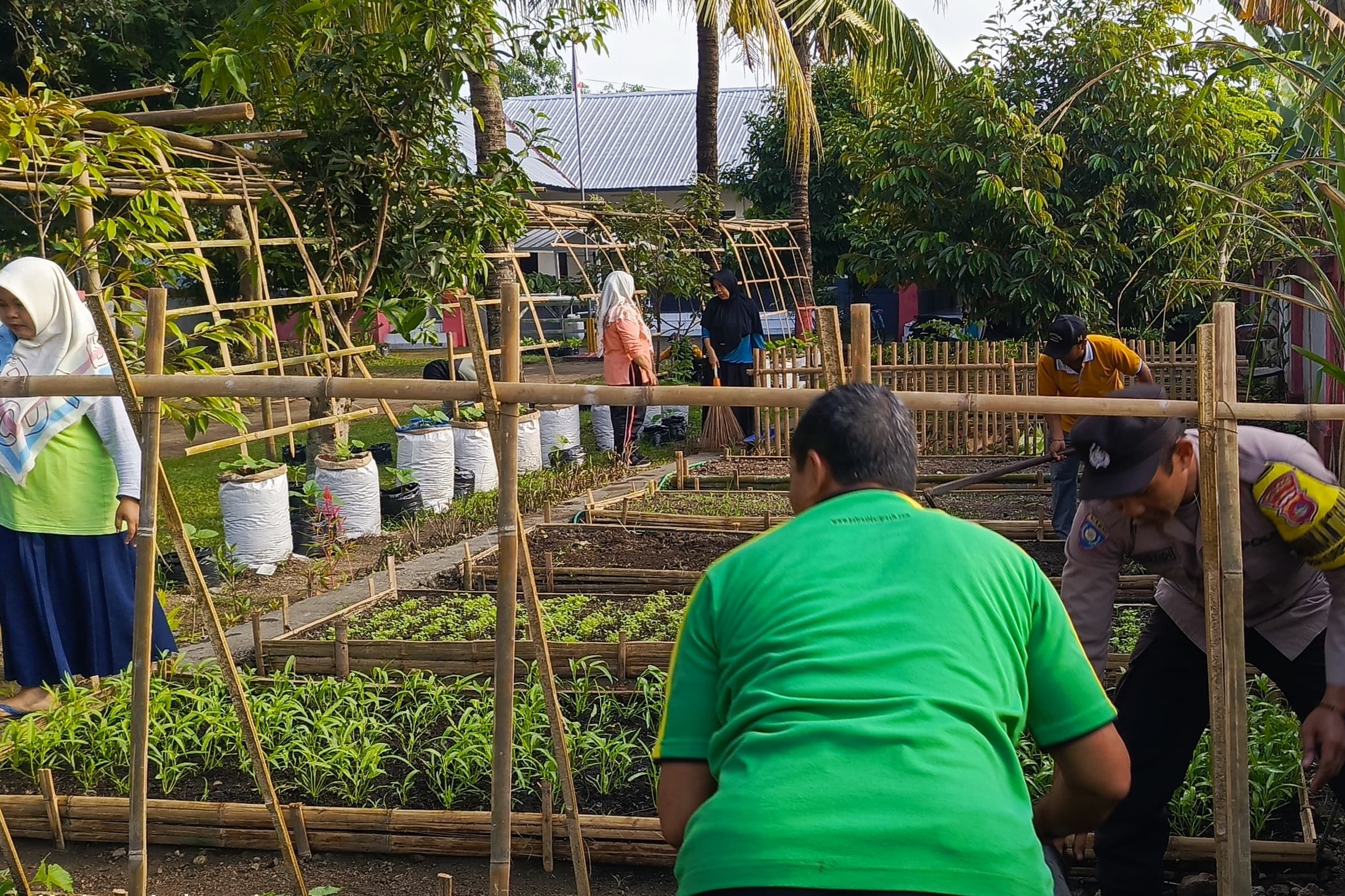Sinergi Polri dan Masyarakat Kuripan Utara: Dari Pekarangan Menuju Ketahanan Pangan Keluarga