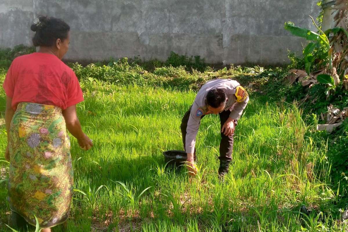 Polri di Lombok Barat Gencarkan Pemanfaatan Lahan Tidur untuk Ketahanan Pangan