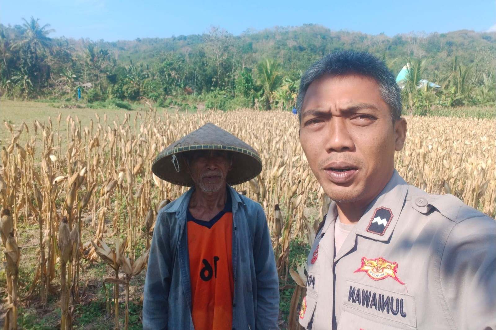 Bhabinkamtibmas Eyat Mayang Dukung Petani Jagung di Lembar untuk Ketahanan Pangan