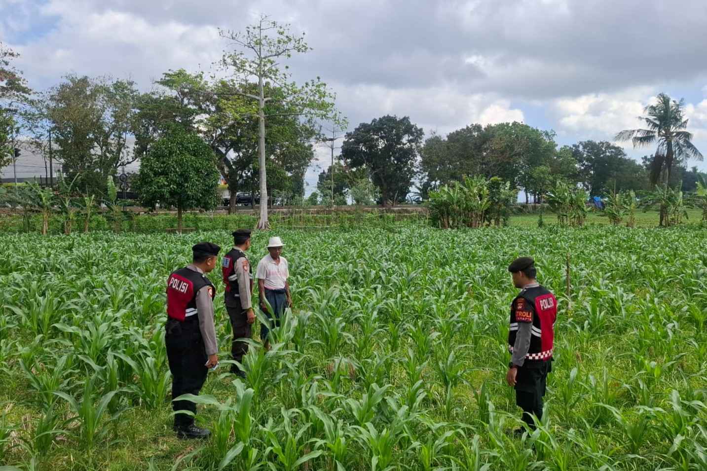 Polres Lombok Barat Dampingi Petani Gerung Utara, Dukung Swasembada Pangan