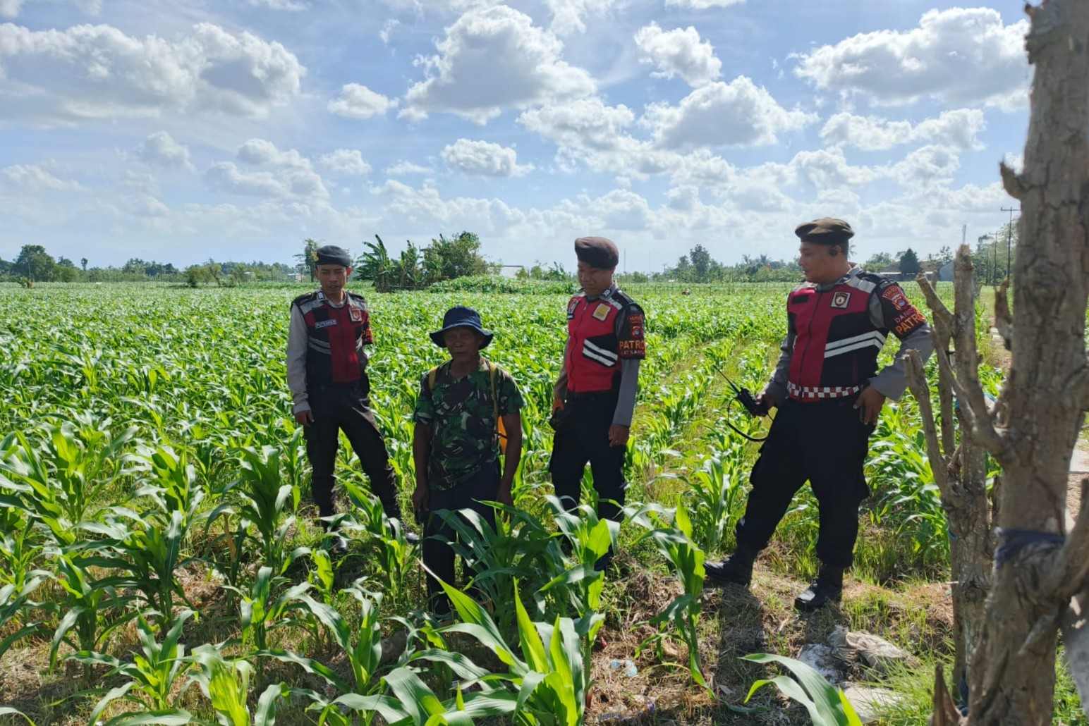 Polres Lombok Barat Dukung Petani Jagung di Desa Dasan Geres