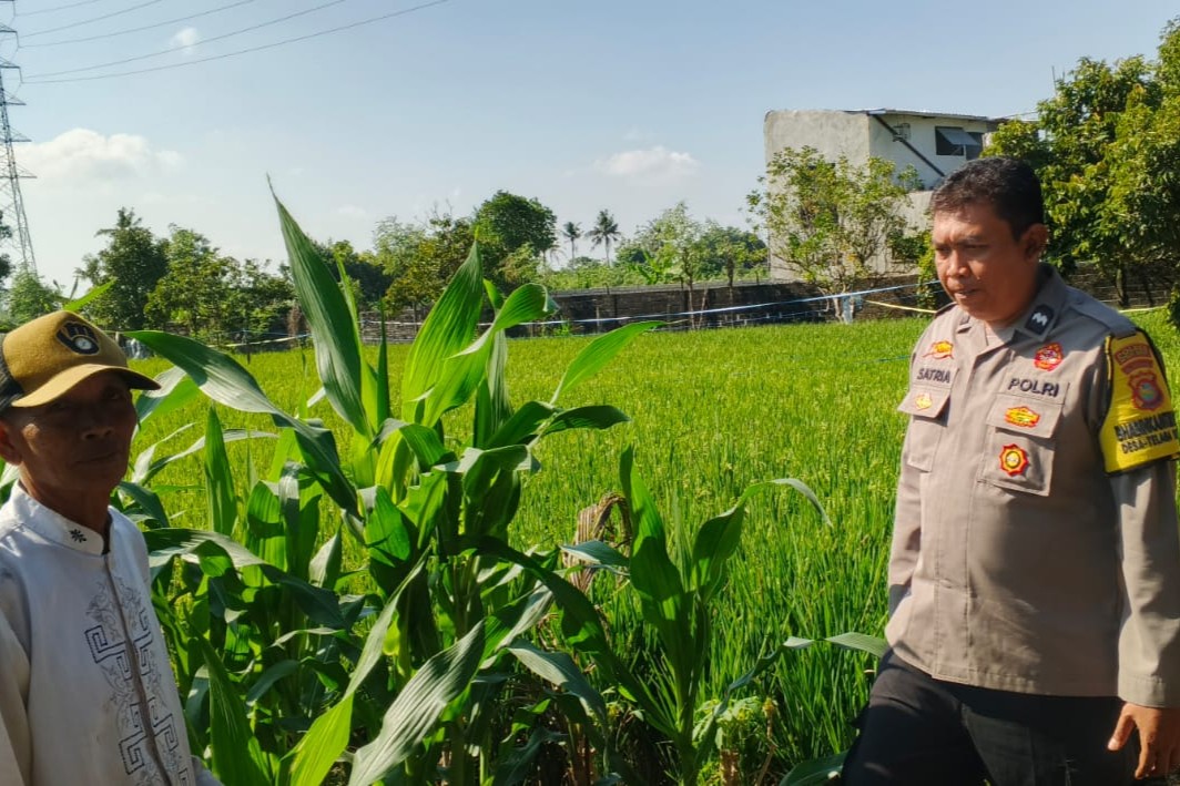 Bhabinkamtibmas Telagawaru Edukasi Petani Soal Lahan Pekarangan Bergizi