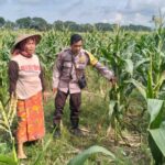 Polsek Labuapi Bangun Kesadaran Pangan Mandiri di Karang Kebon