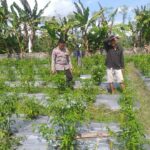 Polri Hadir Dukung Warga Jagaraga Wujudkan Desa Mandiri Pangan