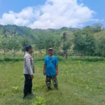 Bhabinkamtibmas Jadi Motor Ketahanan Pangan di Sekotong Barat