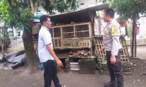 Motivasi Bhabinkamtibmas, Warga Nekat Bangun Kandang Ayam di Pekarangan
