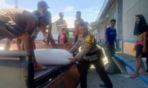 Jagung Aman, Warga Mandiri: Langkah Nyata Polri Wujudkan Ketahanan Pangan Lokal