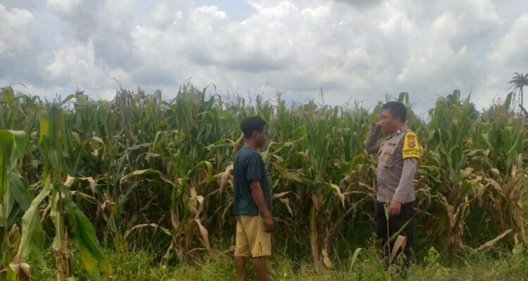 Sinergi Polri dan Warga Wujudkan Kemandirian Pangan di Lombok Barat