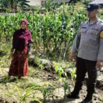 Langkah Nyata Polsek Labuapi Dukung Ketahanan Pangan Keluarga