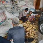 Polsek Gerung Kawal Panen Jagung Tiga Ton di Lombok Barat